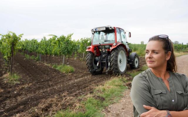 Gästehaus Ringbauer