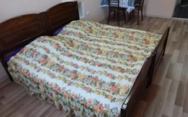 Apartment on Tsinamdzgvrishvili