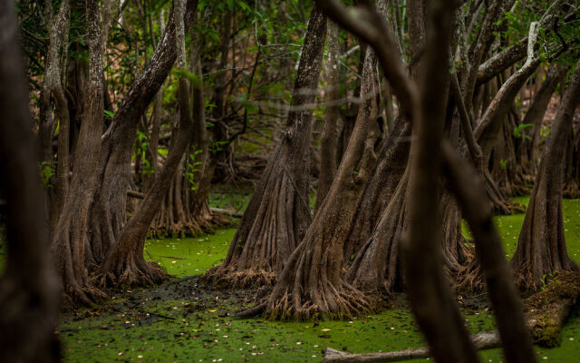 Cenote Popol Vuh