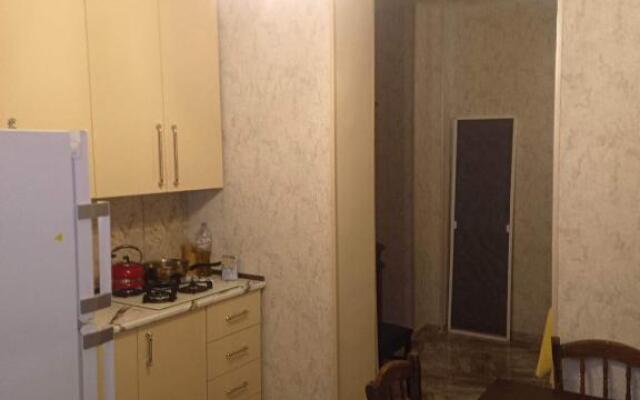 Amazing apartment in Signagi