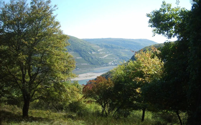 Schau-Rhein#1 - On top of Bacharach, Rhineview