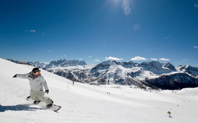 Chalet Aster