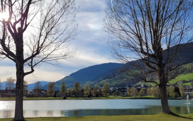 Profelt`s Apartments Uttendorf Steinbock Lodges