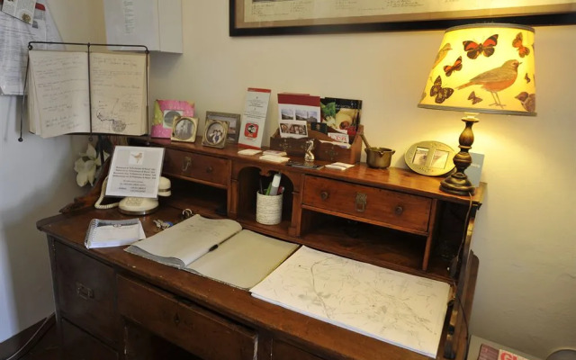 Il Pettirosso di Siena