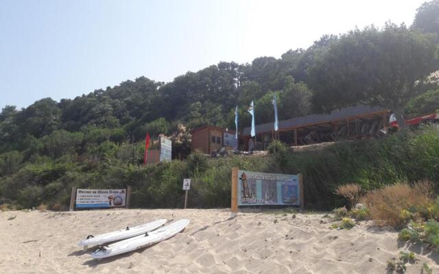 Villa Byala Grape House