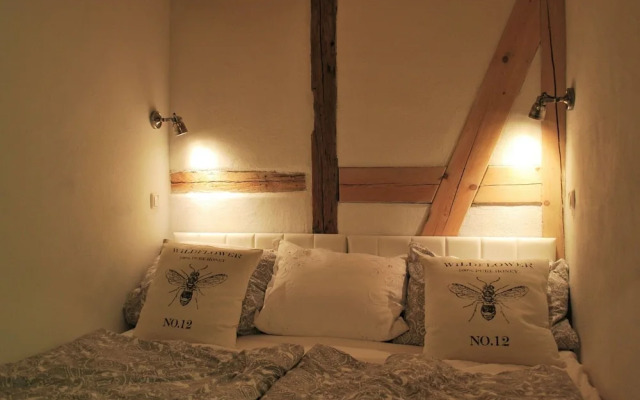 Chic Apartment in Thuringia With Sauna