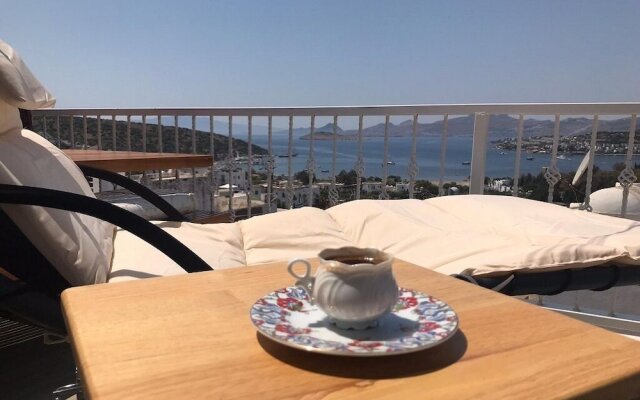 BO042 Bodrum