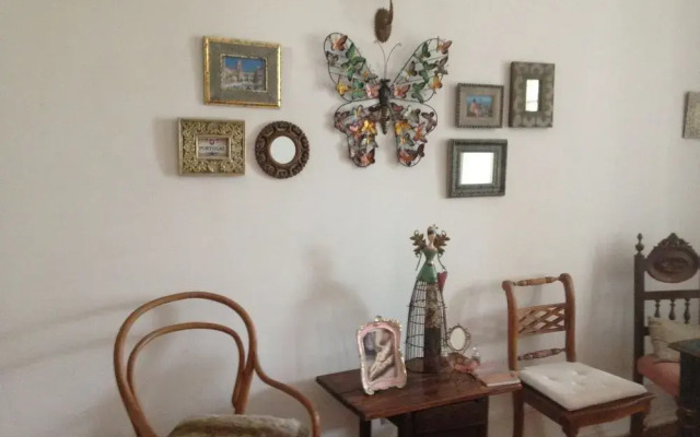 Petunia - Guest House