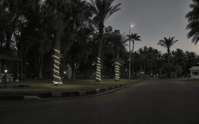 Palm Beach Resort