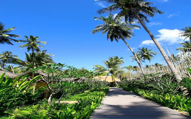 Tinkerbell Resort