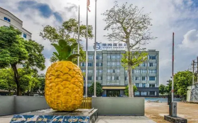 Xuwen Pineapple Hotel