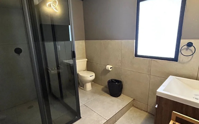 Singular Polanco Goldsmith