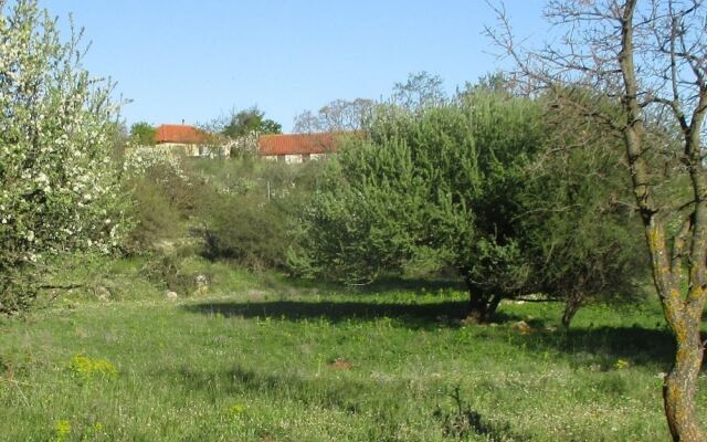Cosy Holiday Home With Garden in Leonidio