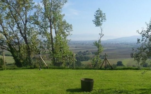 Agriturismo Il Pino