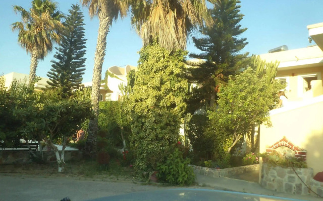 Afentoulis Studios 2
