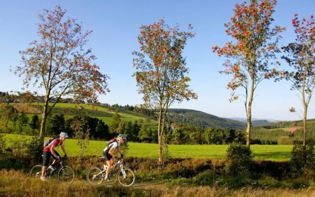 Sauerland Chalet Limonet