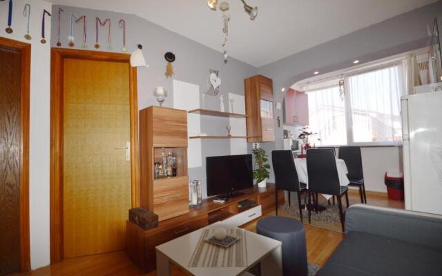 Apartment Živković