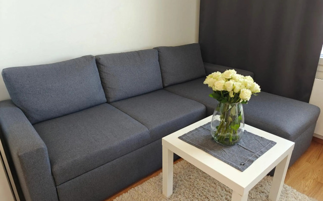 Lovely Northern Apartment