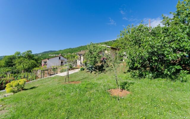 Apartments Dinka