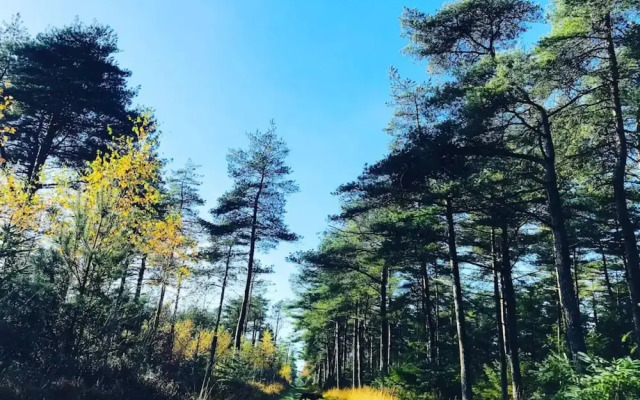 Cozy Beach House With Spa - By Traum Ferienwohnungen