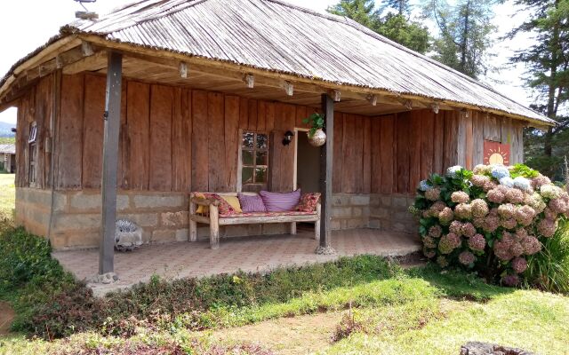 Castle Forest Lodge