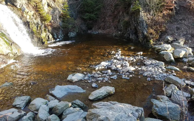 La mignonne des fagnes