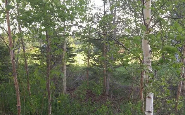 Windsbreath Celebrations and Retreats