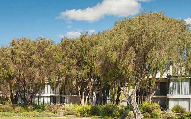 Sixteen at Cape View Escapes