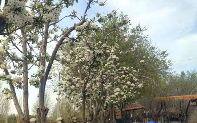 Moli Garden Courtyard Leisure Resort (Dunhuang Night Market Branch) — 2-star hotel in Jiuquan
