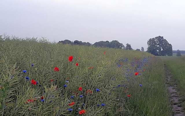 Cozy tiny room, mini kitchen and bathroom