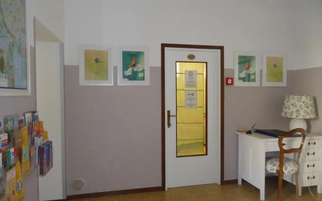 Protezione Della Giovane