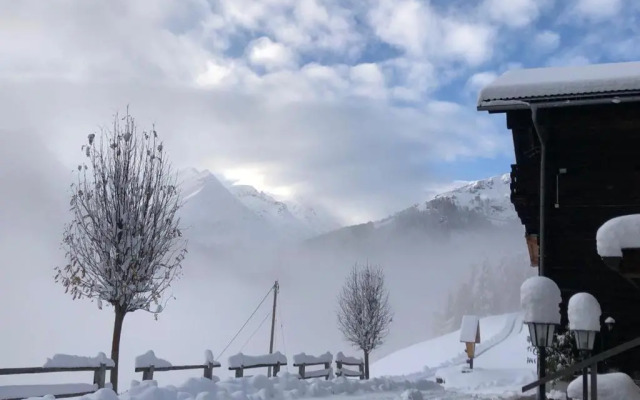 Ferienhof-Oberer-Gollmitzer-2-5-km-oberhalb-von-Heiligenblut-ruhige-sonnige-Lage-Glocknerblick