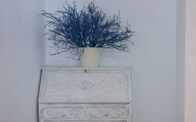 Apartamentos Ripoll Ibiza