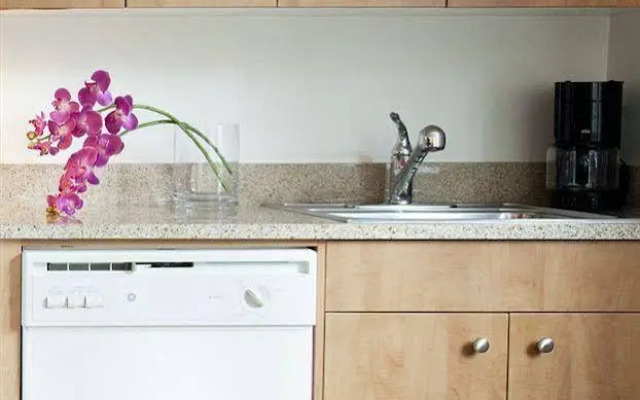 Apartment168 New York