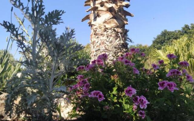 Giardino di Circe