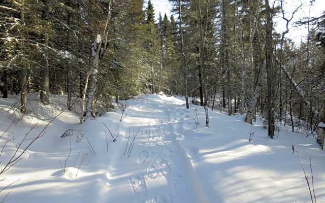 Résidence touristique Lodge des Bois