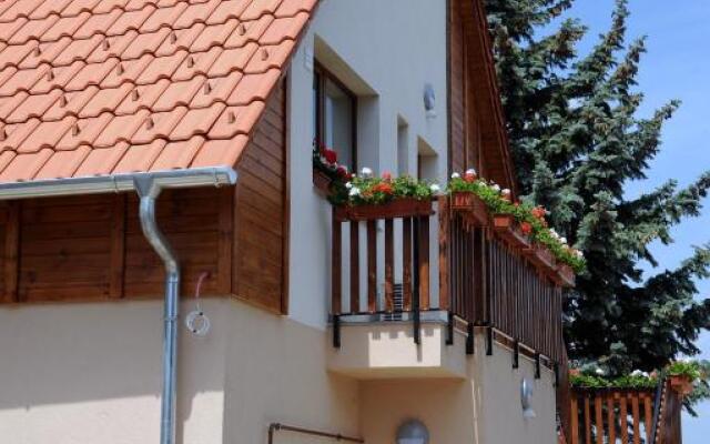 Arany Szolo Wellness Apartmanház