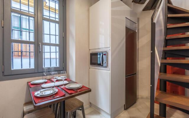 Apartamentos Tintes12