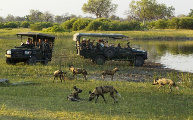 Selinda Camp