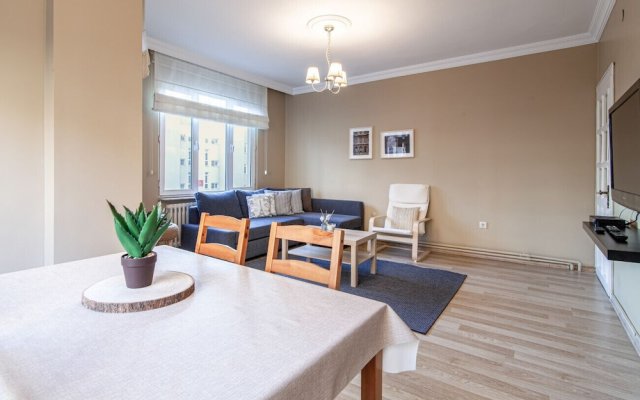 Lovely and Comfortable Home in Sisli