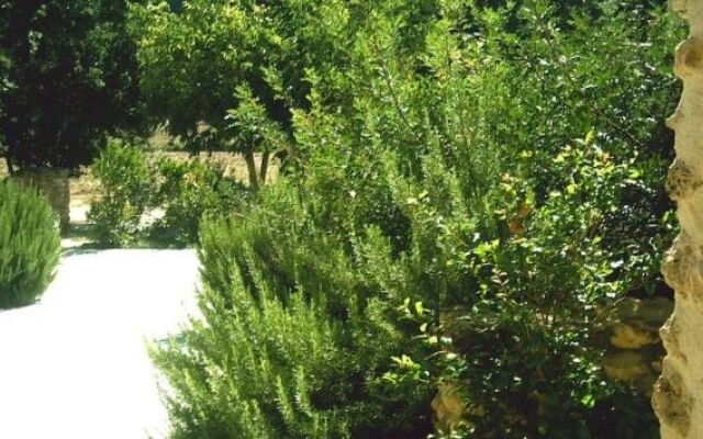 Il Tesoro Agriturismo