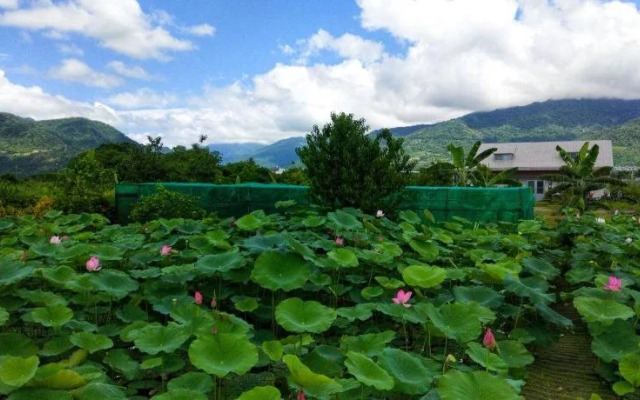 Red Crown Jacana B&B