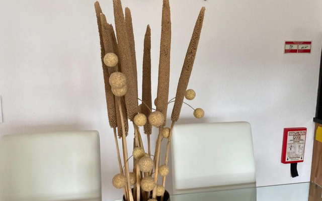 Neptuno IV - Vilamoura