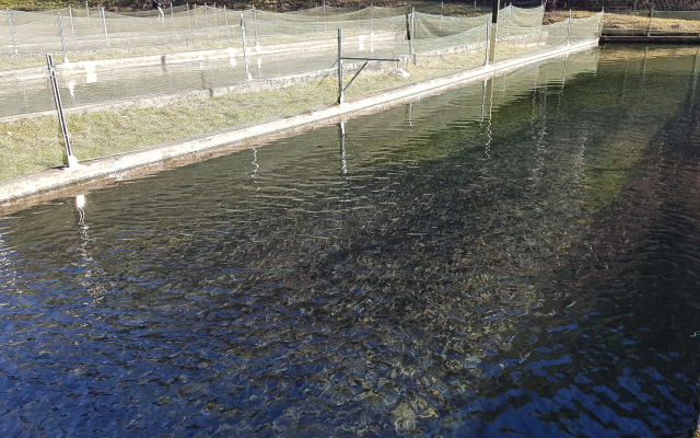 Agriturismo La Vecchia Chioderia