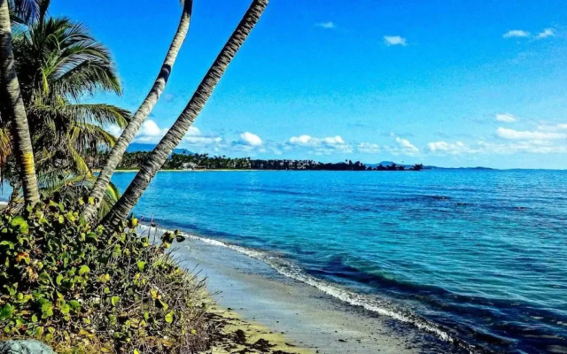 La Palmita