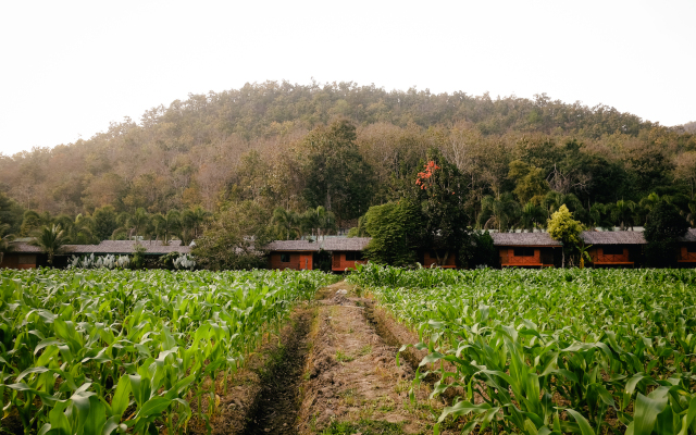 Karen Eco Lodge