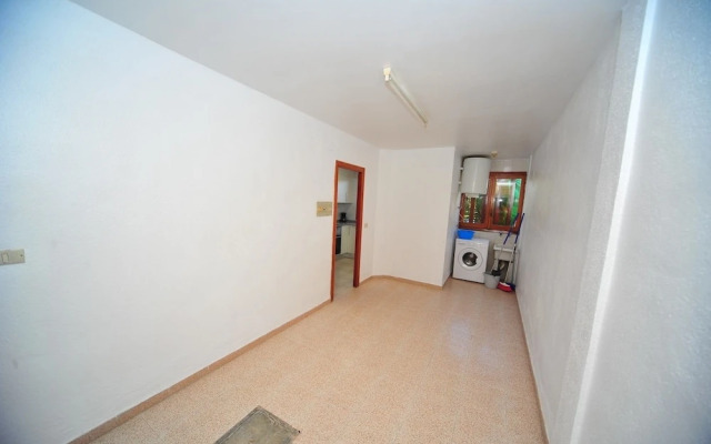 Costa Brasil Orange Costa