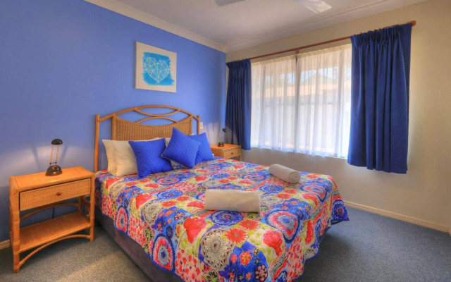 Dolphin Waters Tin Can Bay