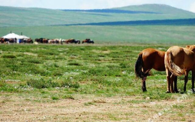 Top Tour & Guesthouse Mongolia