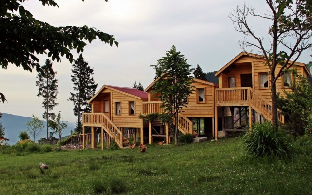 Pilav Dagi Yavuzyilmaz Tesisleri